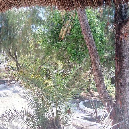 Twisted Palms Lodge & Restaurant Bwejuu Dış mekan fotoğraf