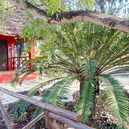 Twisted Palms Lodge & Restaurant Bwejuu Dış mekan fotoğraf