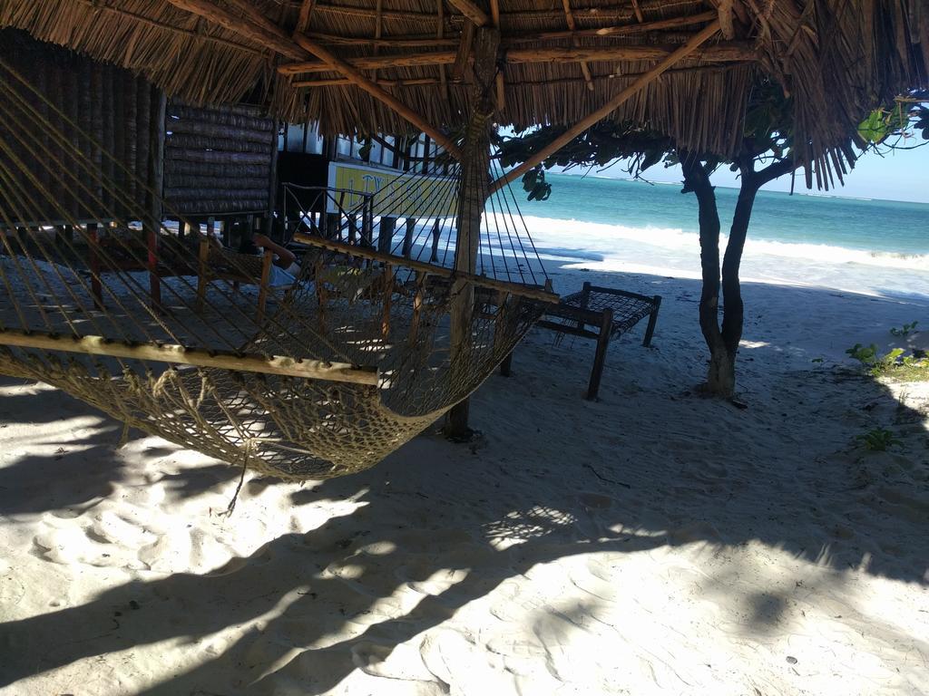 Twisted Palms Lodge & Restaurant Bwejuu Dış mekan fotoğraf