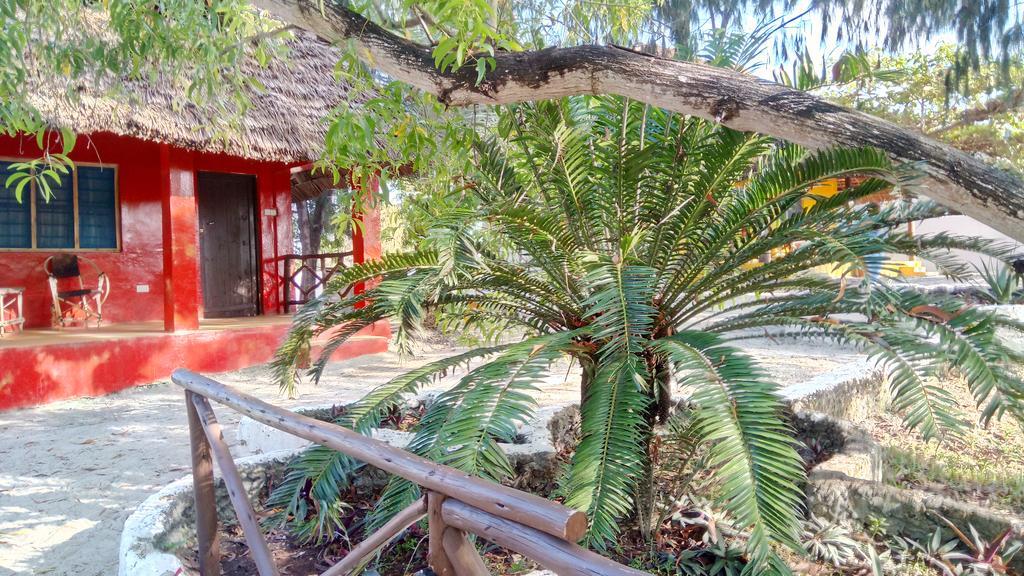Twisted Palms Lodge & Restaurant Bwejuu Dış mekan fotoğraf