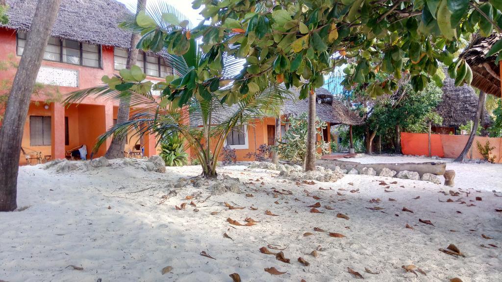 Twisted Palms Lodge & Restaurant Bwejuu Dış mekan fotoğraf