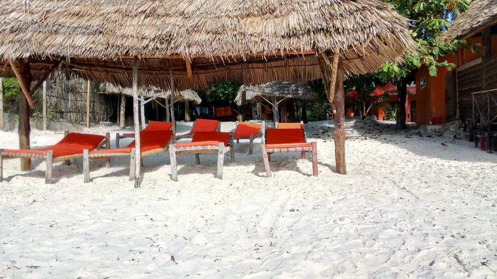 Twisted Palms Lodge & Restaurant Bwejuu Dış mekan fotoğraf