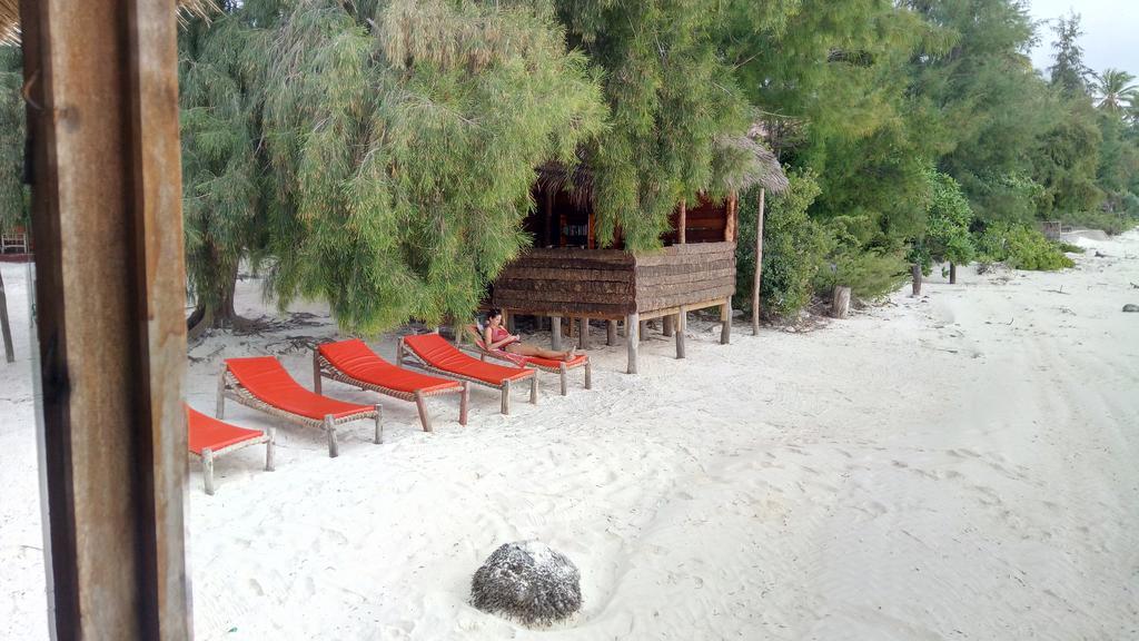 Twisted Palms Lodge & Restaurant Bwejuu Dış mekan fotoğraf